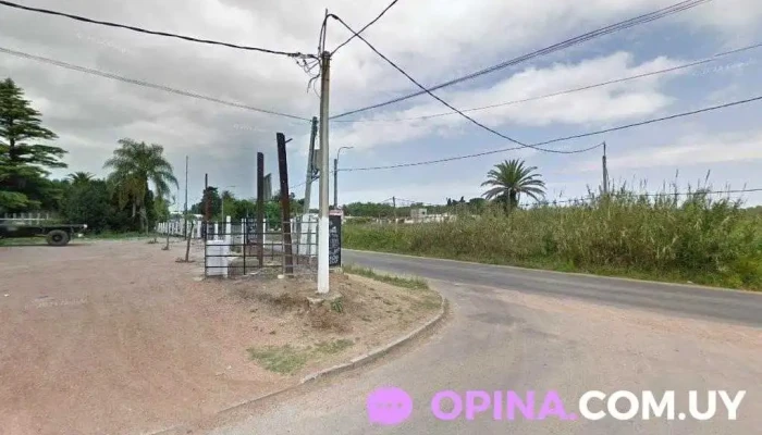 El Container - 12600 Montevideo