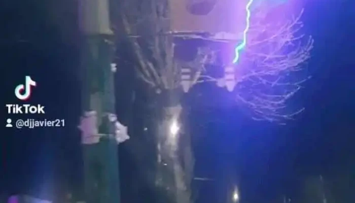 El Crustaceo Del Propietario - San Carlos