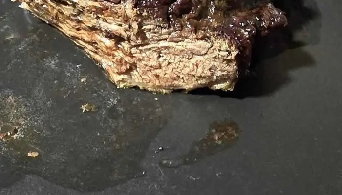 El Fogon Del Loro Todo - Paysandú