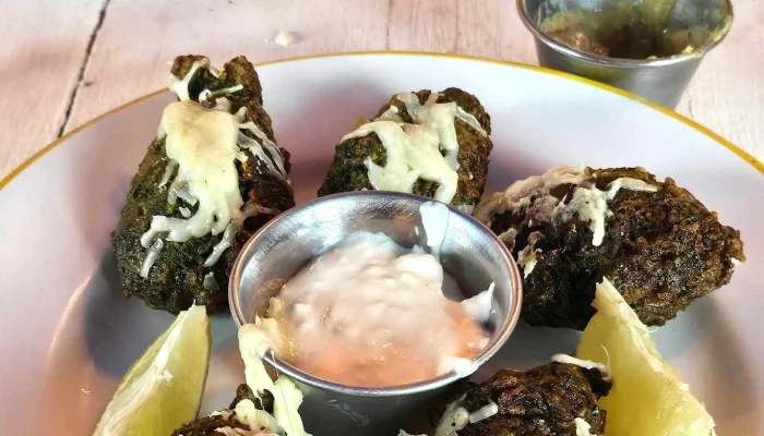 El Fondin De Manantiales Comentario 3 - Manantiales