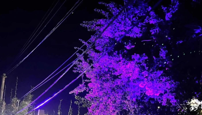 El Fondin De Manantiales Comentario 6 - Manantiales