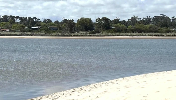 El Foque -  Comentario 4 - Ciudad de la Costa