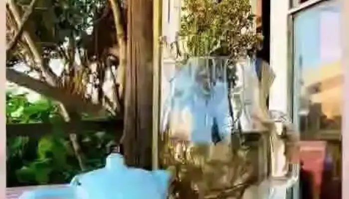 El Gallinero -  Videos - Aguas Dulces