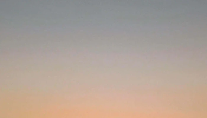 El Galpon -  Comentario 1 - Col. del Sacramento