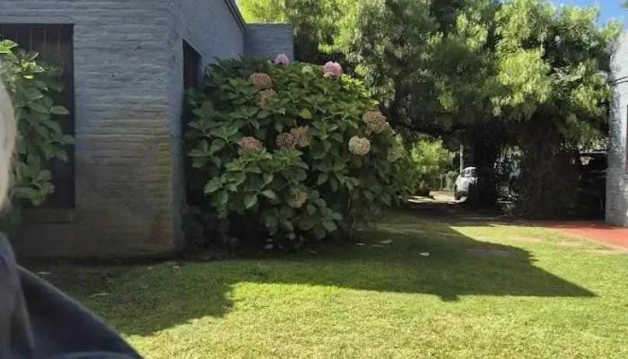 El Gran Pez -  Mas Recientes - Ciudad de la Costa