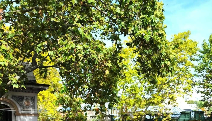 El Imperio -  Comentario 1 - Montevideo