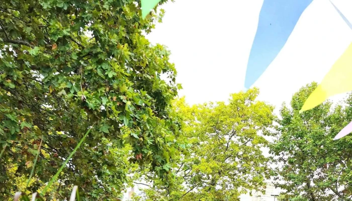 El Imperio -  Comentario 2 - Montevideo