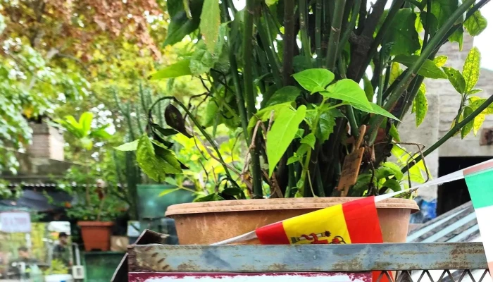 El Imperio -  Comentario 3 - Montevideo