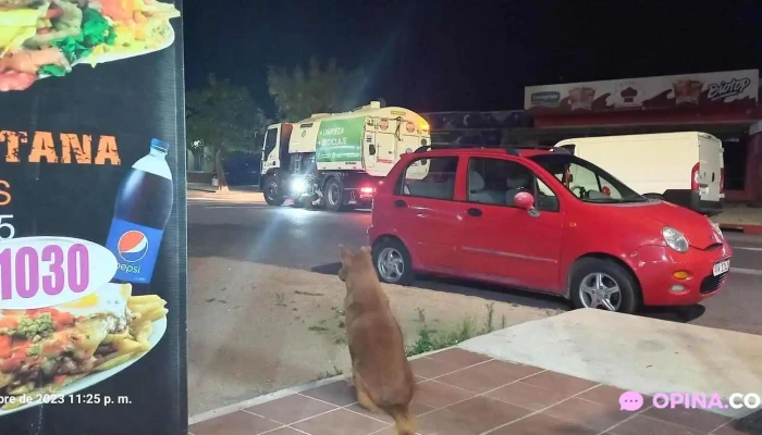 El Imperio De La Pizza -  Menu - Progreso