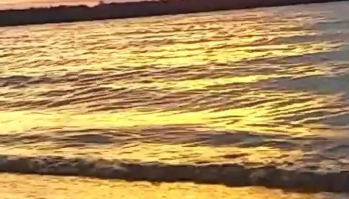 El Jardin Hotel Videos - Paysandú