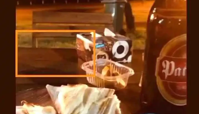 El Mampe -  Videos - San Javier