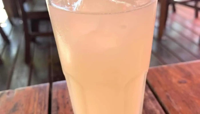 El Mercosur -  Jugo - Col. del Sacramento