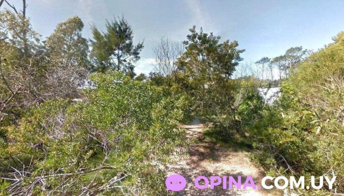 El Nido, casa de Guille, Cat, Unay, Mitaí y Seti - La Paloma