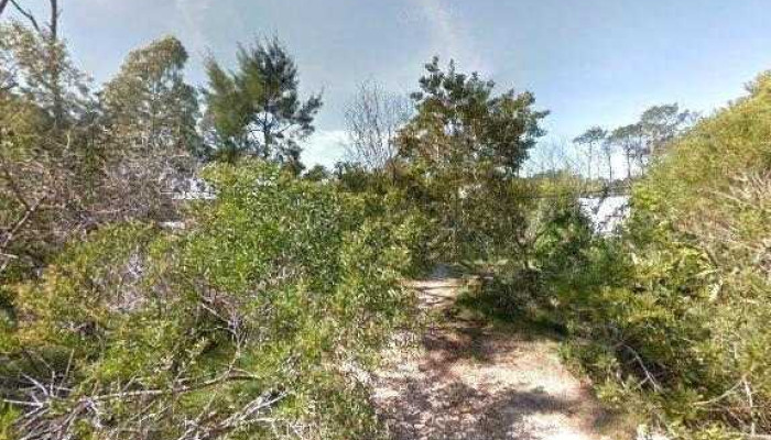 El Nido Casa De Guille Cat Unay Mitai Y Seti Opiniones - La Paloma