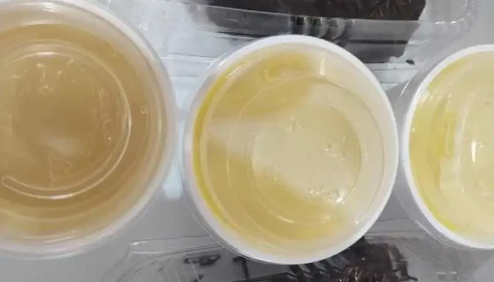 El Nuevo Ronny -  Todas - Rivera