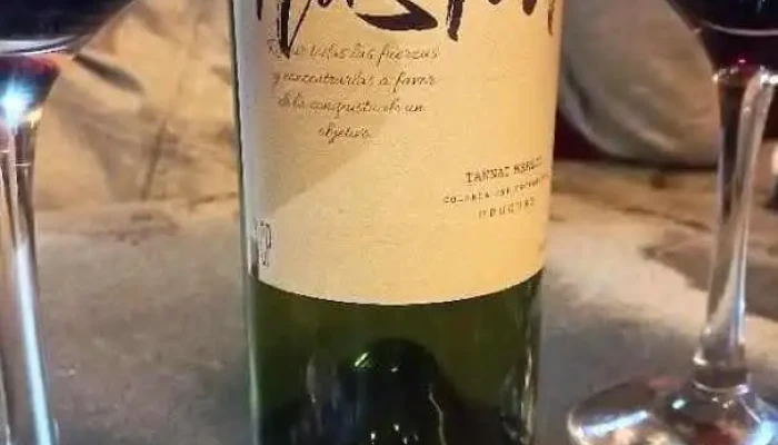 El Otro Porton -  Mas Recientes - Col. del Sacramento