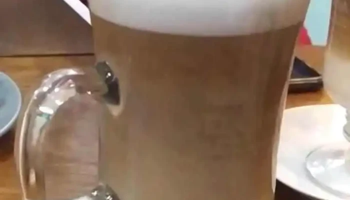 El Palacio Cafe Cocina Videos - Salto