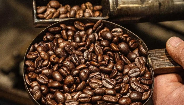 El Palacio Del Cafe Del Propietario - Punta del Este