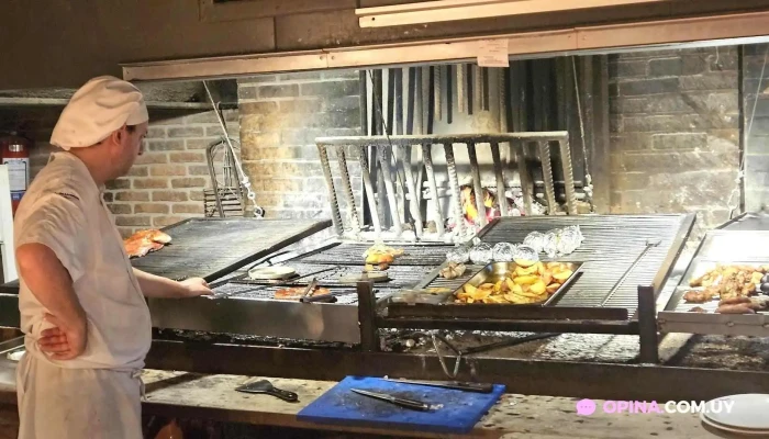 El Palenque -  Mas Recientes - Punta del Este