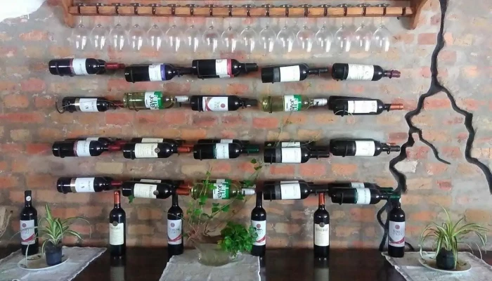 El Paso 18 Ambiente - Aiguá