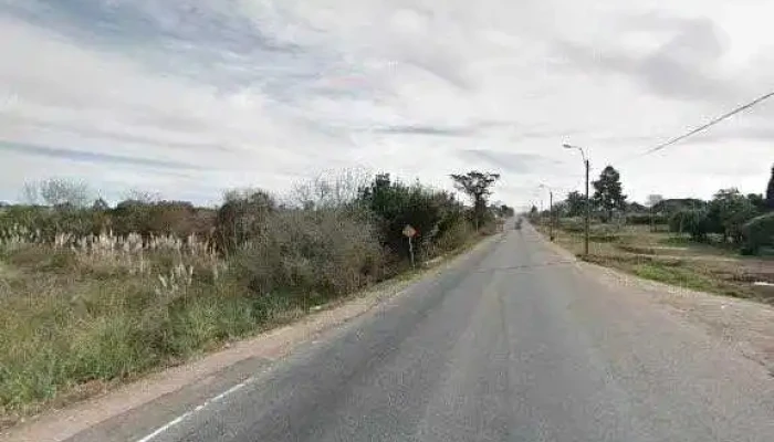 El Perro Alcahuete Hdp Street View Y 360 - Montevideo