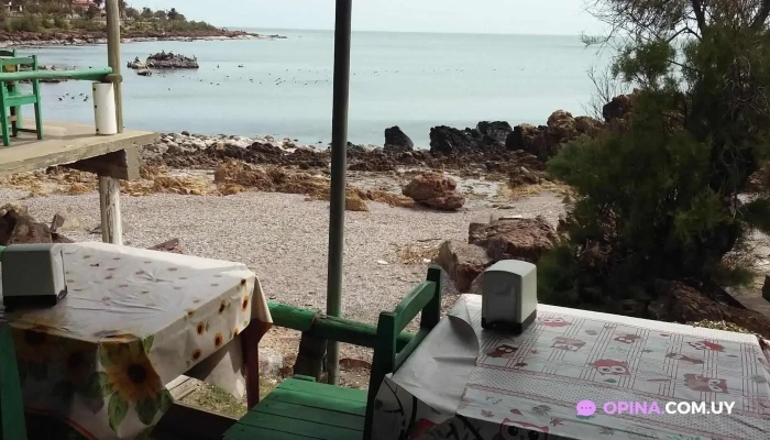 El Pescador -  Ambiente - Piriápolis