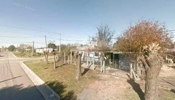 El Pino Comics Y Manga -  Como Llegardeg - Progreso