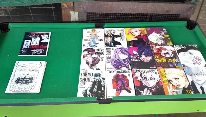 El Pino Comics Y Manga -  Del Propietario - Progreso