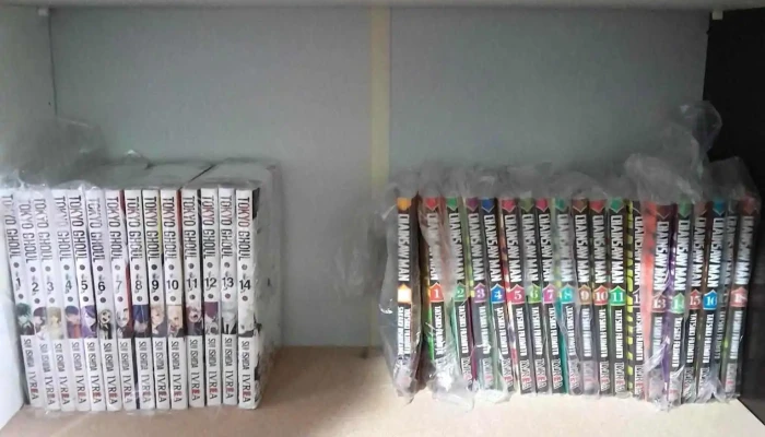 El Pino Comics Y Manga -  Estante De Libros - Progreso