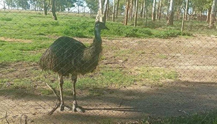 El Portal De Talice Mas Recientes - Trinidad