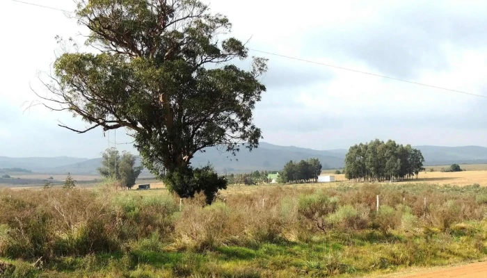 El Potrerito -  Todas - Solís de Mataojo