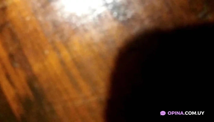 El Quijote Empanadas -  Videos - Santa Lucía