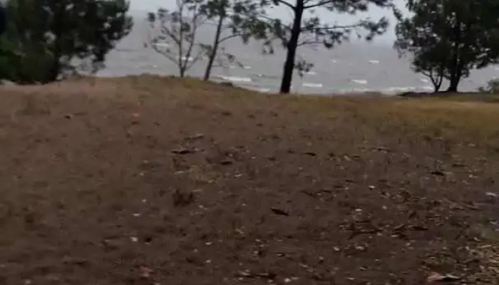 El Quincho -  Videos - Nueva Palmira