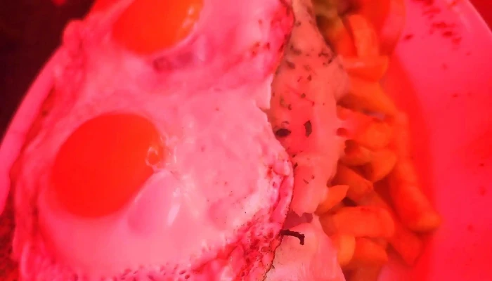 El Refugio -  Comentario 5 - Montevideo