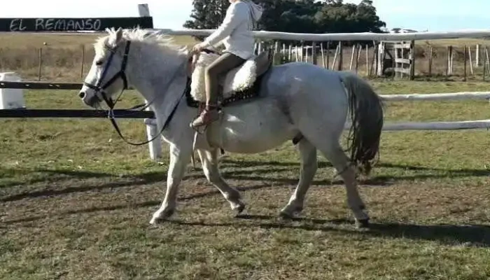 El Remanso -  Del Propietario - Durazno