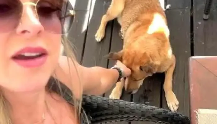 El Secreto -  Mas Recientes - Punta del Este