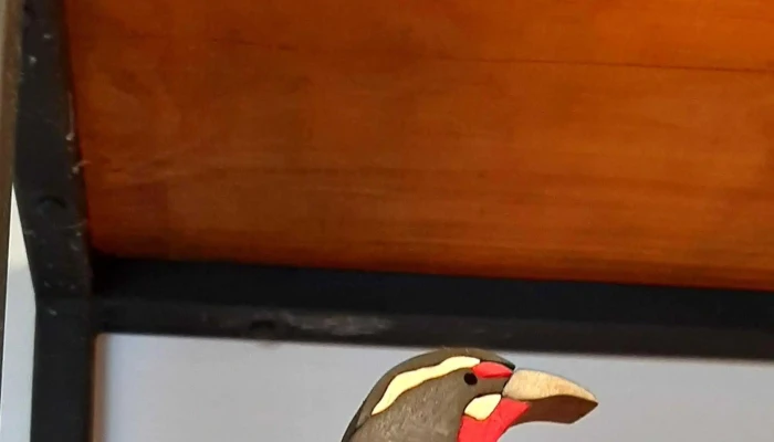 El Tambor - Col. Del Sacramento