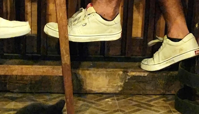 El Toto Dormilon Comentario 3 - Montevideo