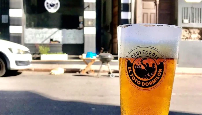 El Toto Dormilon Comidas Y Bebidas - Montevideo