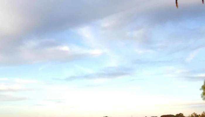 El Vergel -  Comentario 3 - Los Cerrillos