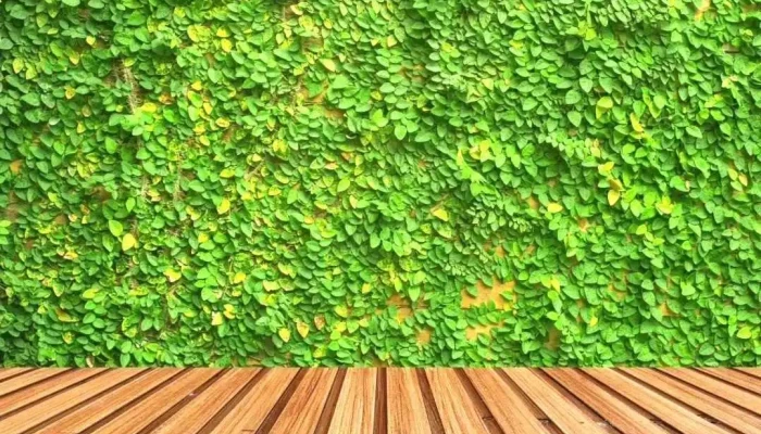 Eli Seven Pizzeria Rotiseria Milanesas Chivitos Helados Empanadas Y Bebidas Del Propietario - Ciudad del Plata