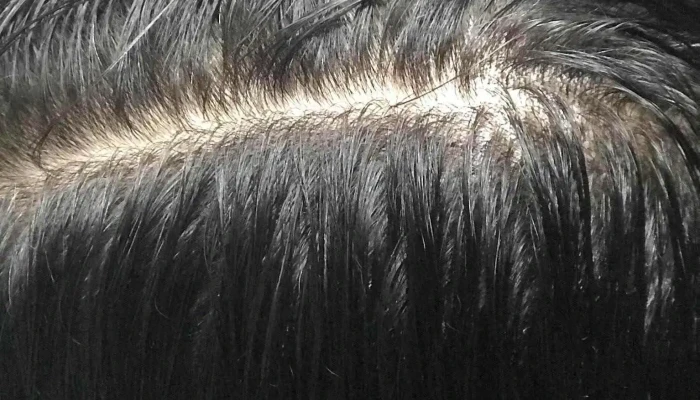 Eliana Fagals Salón Unisex - 11400 Montevideo