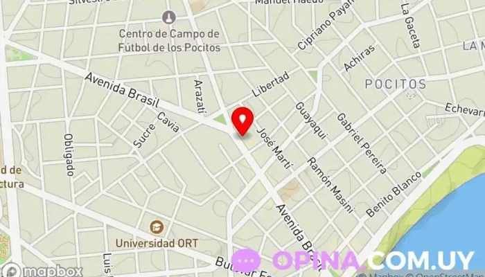 mapa de Eliana Schutz Servicios Inmobiliarios Agencia inmobiliaria en Montevideo