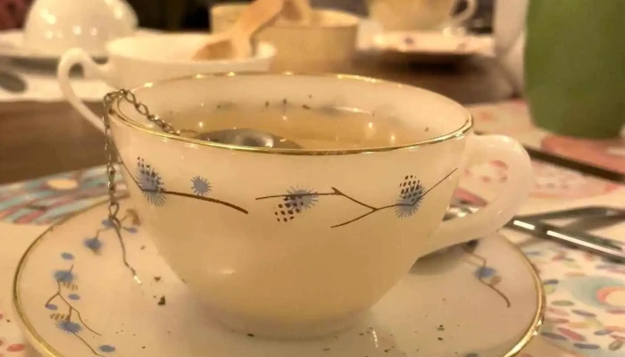 Elite Tu Casita De Te Videos - Montevideo