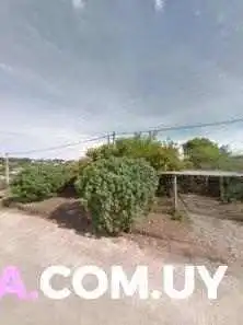 Elmo Resto Bar -  Street View Y 360 - Manantiales