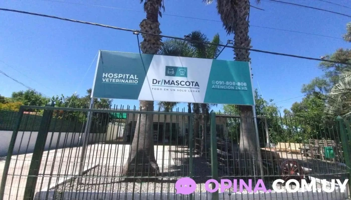 Emergencia Veterinaria Dr. Mascota - 15005 Ciudad De La Costa