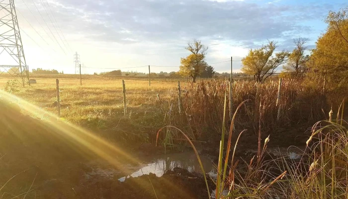 Empalme Olmos -  Todo - Departamento de Canelones