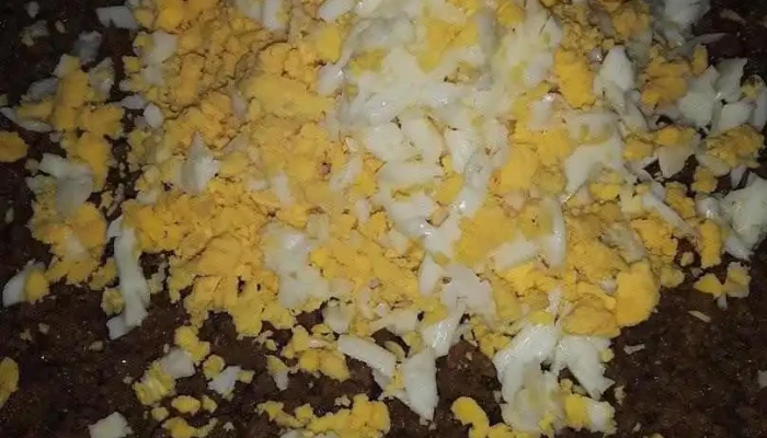 Empanadas Cg Comida Y Bebida - Montevideo