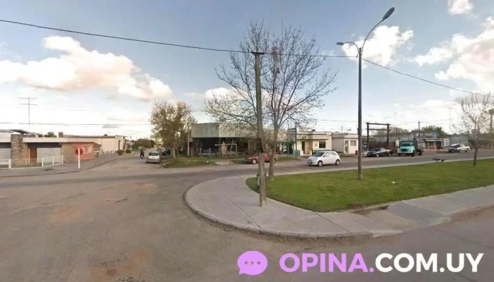 Empresa Detomasi - 91600 San Jacinto