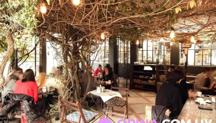 Escaramuza -  Del Propietario - Montevideo